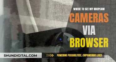 Accessing Dropcam Cameras: Browser Viewing Options