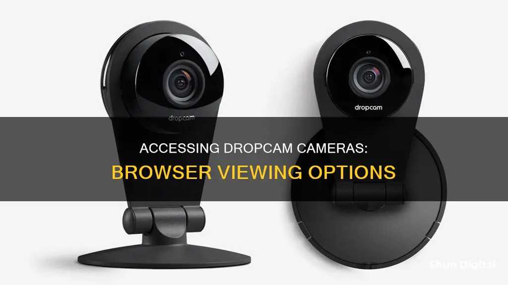 where to see my dropcam cameras via browser