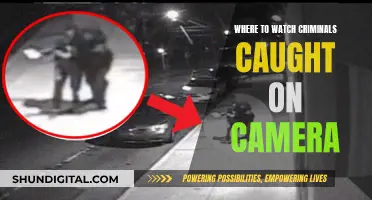 Best Platforms to Stream Crime Caught on Camera