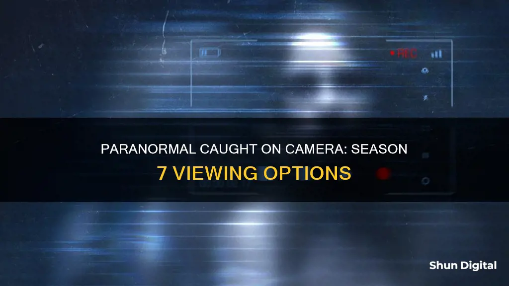 where to watch paranormal caught on camera season 7