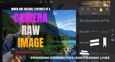 Unlocking RAW Image Potential: Editable Features Explained