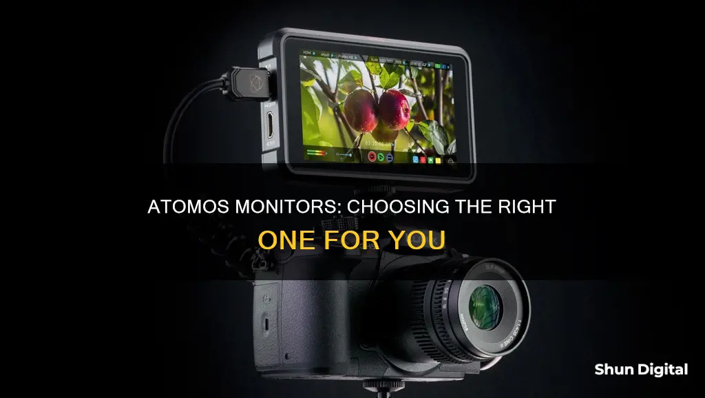 which atomos monitor to buy