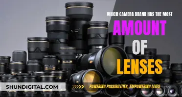 The Battle for Lens Variety: Brand Lens Options Explored