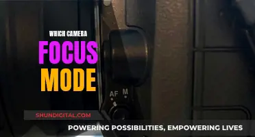 Mastering Camera Focus: Modes for Every Scenario