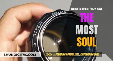 The Soulful Camera Lenses: Capturing Moments with Character