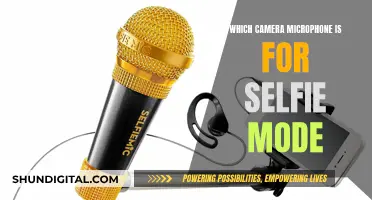 Choosing the Right Microphone for Selfie-Mode Photography