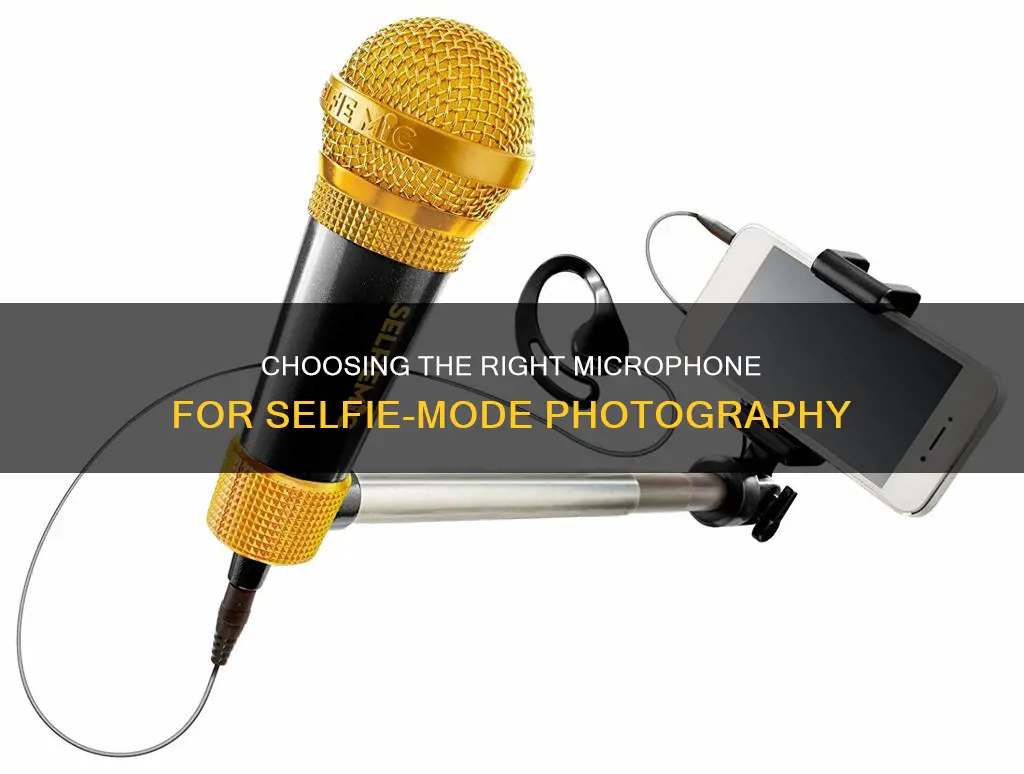 which camera microphone is for selfie mode