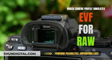 Choosing the Right Camera Profile for Your RAW Photos