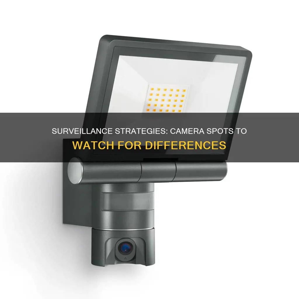 which camera spots should be watching something is different