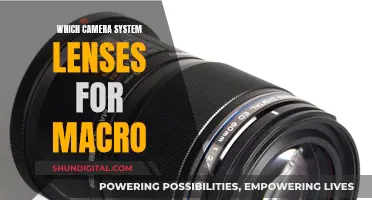 Best Camera System Lenses for Macro Photography