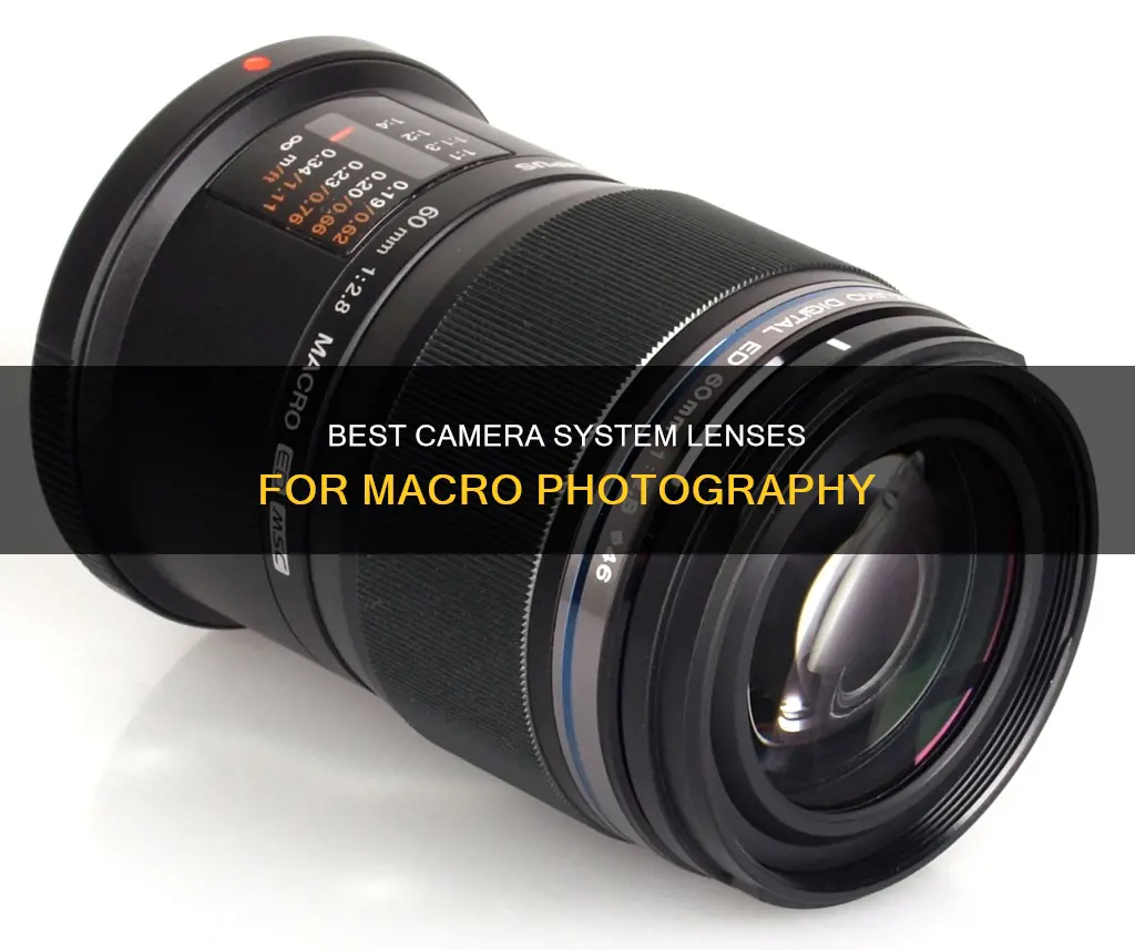 which camera system lenses for macro