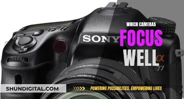 Focusing on Cameras: Which Models Nail Sharp Images?