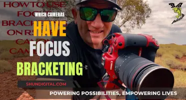 Focus Bracketing: Which Cameras Offer This Feature?