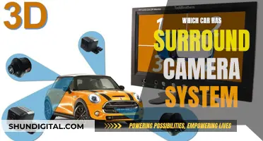 Surround Camera Systems: Which Cars Offer This Feature?