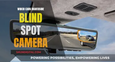 Blind Spot Camera: Right-Side Safety for Cars