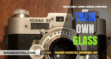 Classic 35mm Cameras: In-House Glass Pioneers