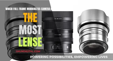 Full-Frame Mirrorless: The Lens Collection Advantage