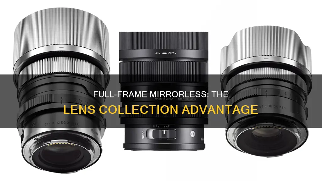 which full frame mirrorless camera has the most lense