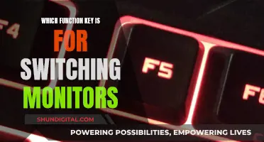 Function Keys: Switching Monitors with a Single Press