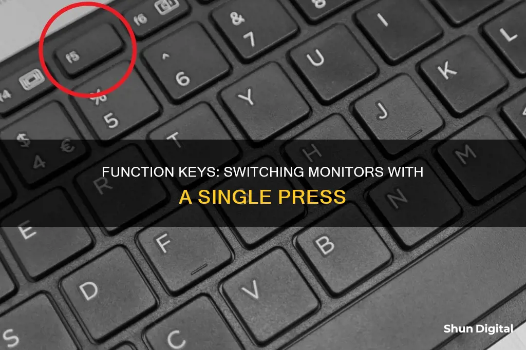 which function key is for switching monitors