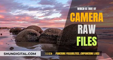 Raw Files: Unlocking the Power of Photography