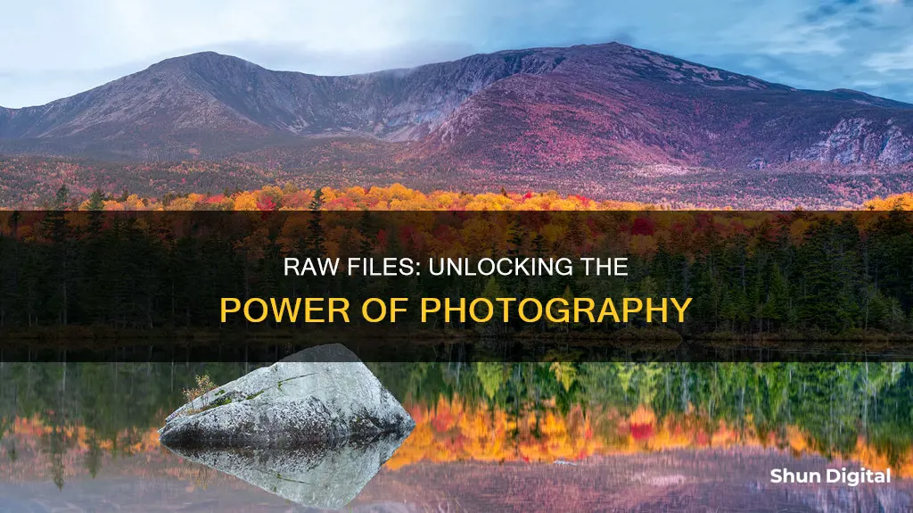 which is true of camera raw files