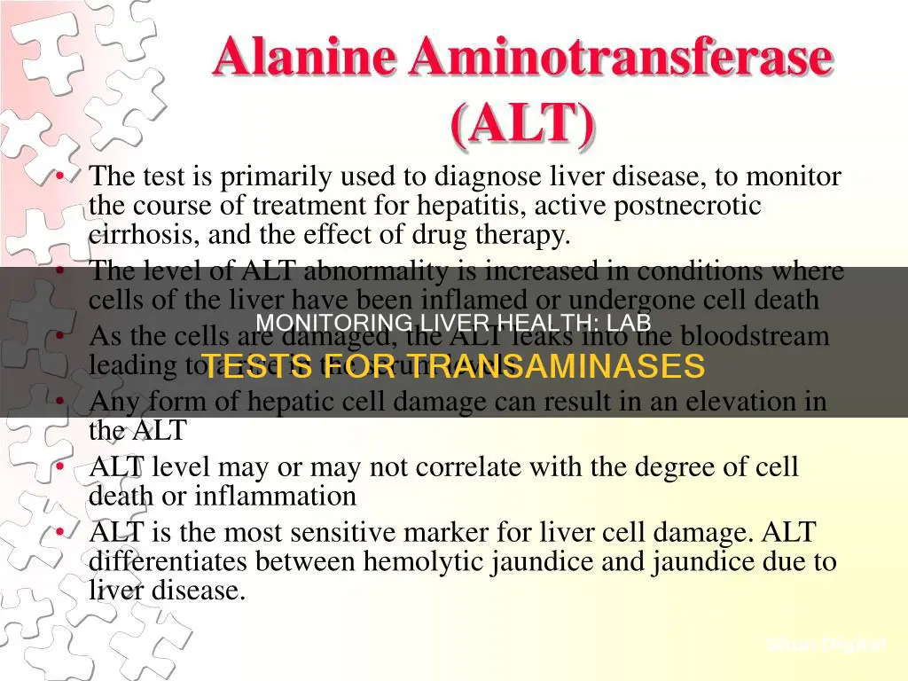 which laboratory study should be monitored for livertransaminases