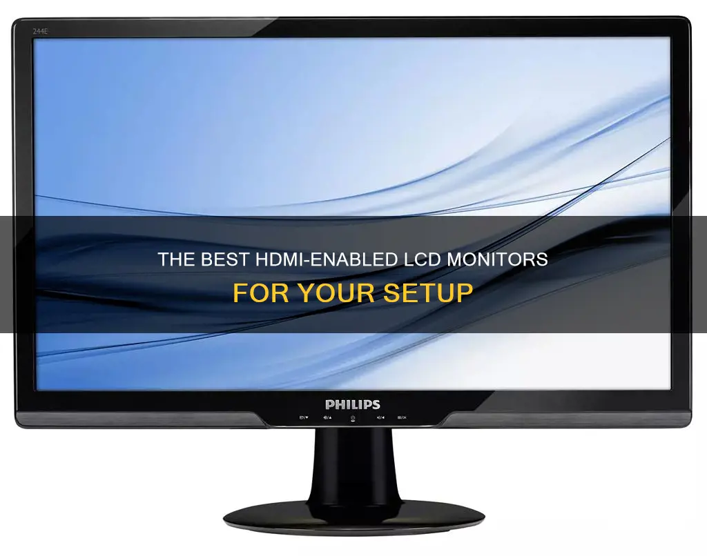 which lcd monitor has hdmi input