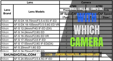 Lens and Camera Compatibility: Finding the Right Match