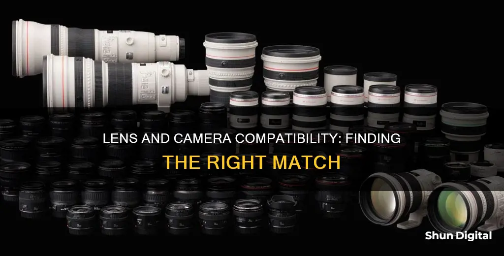 which lenses are compatible with which camera