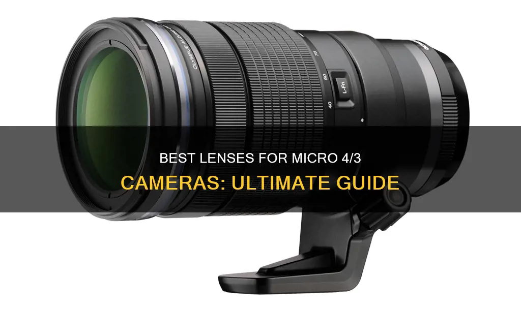 which lenses for micro 4 3 camera