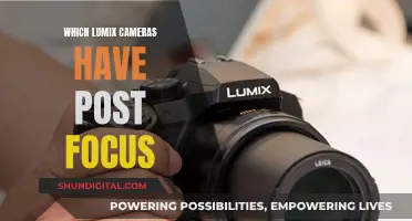 Lumix Cameras: Post-Focus Feature Availability and Compatibility