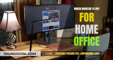 Best Monitors for Your Home Office Setup