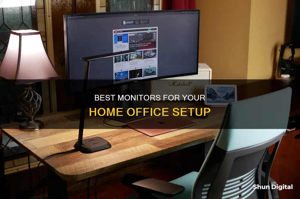 which monitor to buy for home office