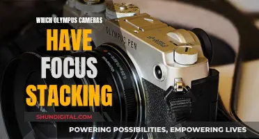 Olympus Cameras: Focus Stacking Feature Unlocks New Creative Possibilities