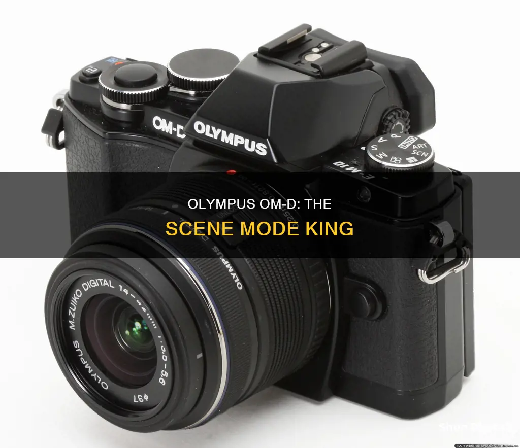 which om-d camera has the most scene modes