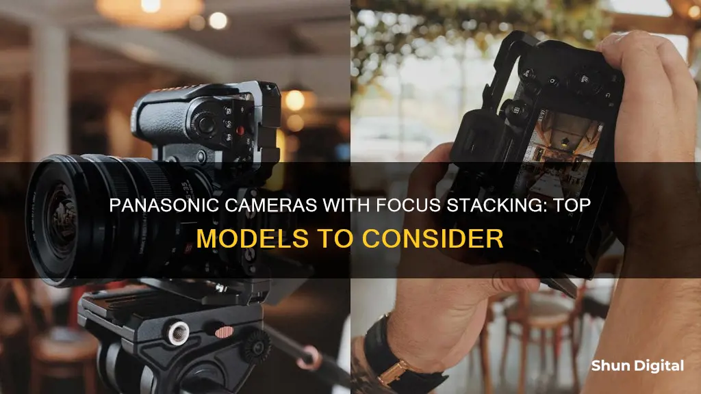 which panasonic camera have focus stacking