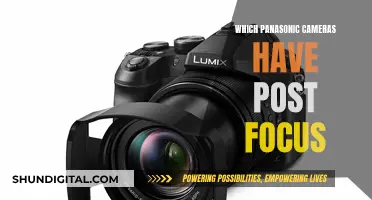 Panasonic Cameras with Post Focus: A Comprehensive Overview