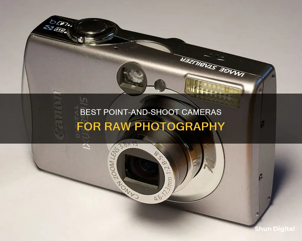 which point and shoot camera offers raw format shooting