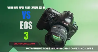 Evolution of Canon Cameras: EOS 1V and EOS 3