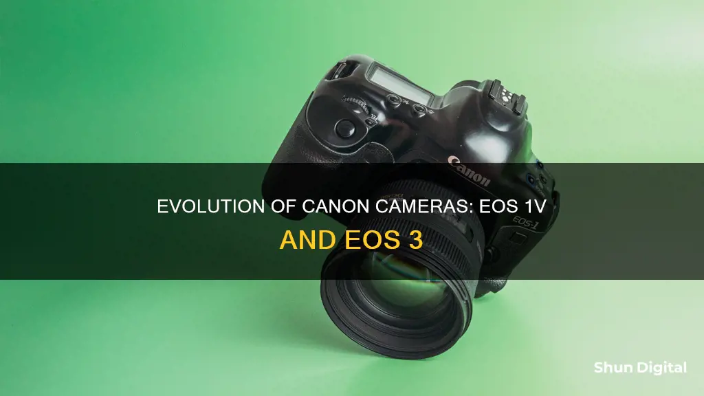 which was made first camera eos 1v vs eos 3