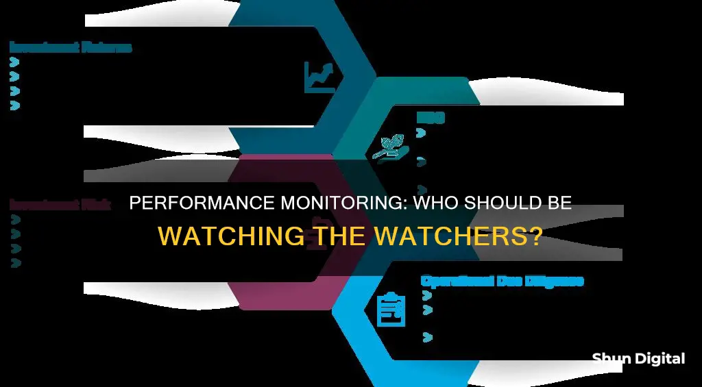 who is responsible for monitoring performance