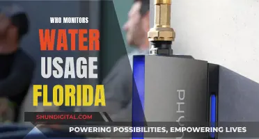 Florida's Water Watchdogs: Who's Minding the Sunshine State's Usage?