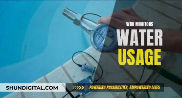 Water Watchdogs: Who Monitors Our Usage?