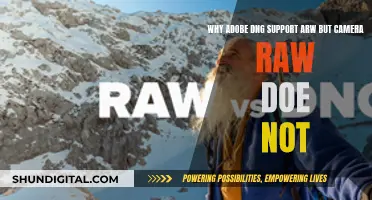 DNG and ARW: Adobe's Camera Raw Compatibility Mystery