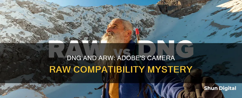 why adobe dng support arw but camera raw doe not