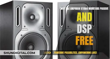 The Superiority of Amphion's Passive and DSP-Free Studio Monitors