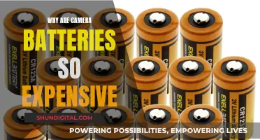 The High Cost of Camera Batteries: Why?