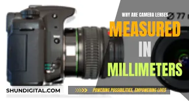 Understanding Camera Lenses: Millimeter Measurements Explained