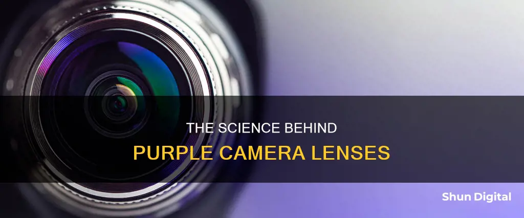 why are camera lenses purple